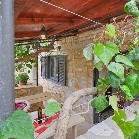 Carla Novigrad Istria